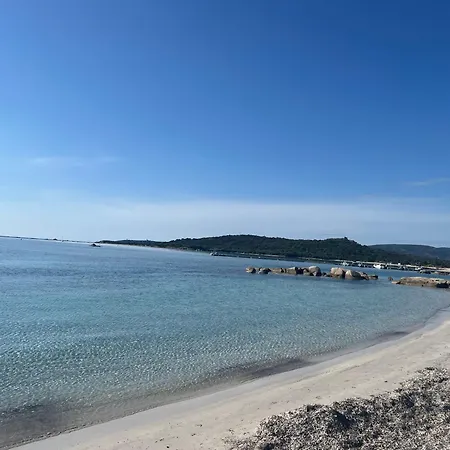 Apartmán Mini Luxueusement Equipee T4 Duplex 70m2 Dans Fiori Di Cala Rossa Superbement Arboree - Chez Anne Avec Tres Grande Piscine De 350 M2 Chauffee Lecci