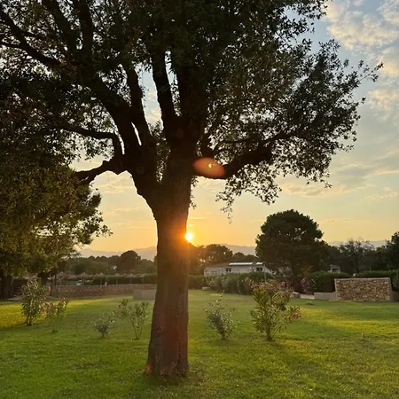 Appartamento Mini Luxueusement équipée T4 Duplex 70m2 Dans Résidence Fiori Di Cala Rossa Superbement Arborée - Chez Anne Avec Très Grande Piscine De 350 M2 Chauffée Lecci