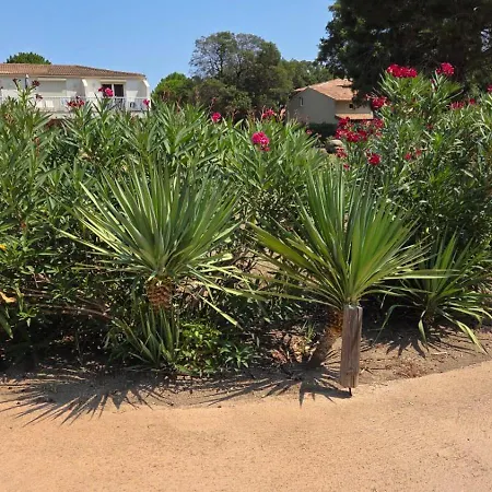 Mini Luxueusement équipée T4 Duplex 70m2 Dans Résidence Fiori Di Cala Rossa Superbement Arborée - Chez Anne Avec Très Grande Piscine De 350 M2 Chauffée Appartamento Lecci