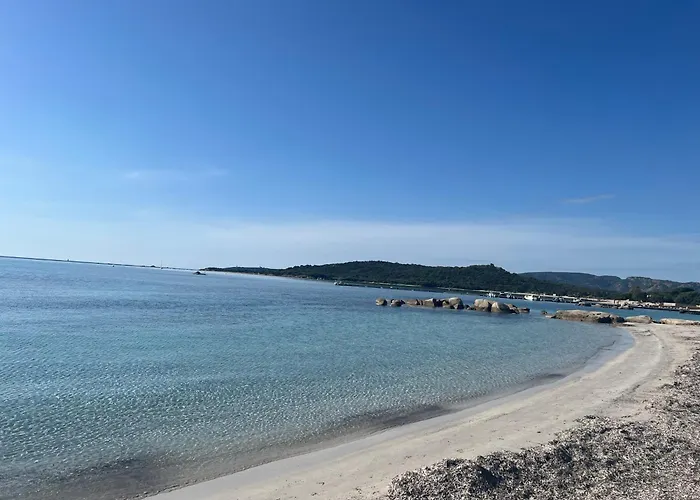 아파트 Mini T4 Duplex Dans Hoteliere Fiori Di Cala Rossa Superbement Arboree Renovee En 2023 - Chez Anne Avec Piscine Chauffee 르씨
