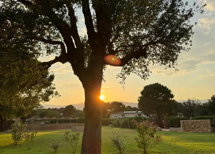 Daire Mini T4 Duplex Dans Hoteliere Fiori Di Cala Rossa Superbement Arboree Renovee En 2023 - Chez Anne Avec Piscine Chauffee Lecci