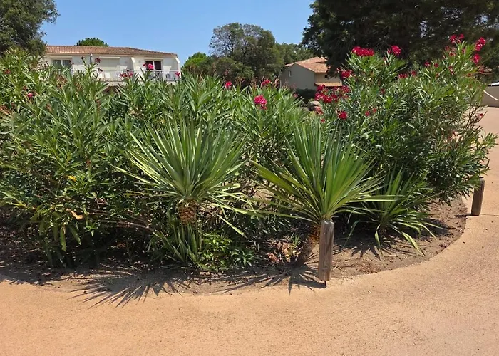 Mini T4 Duplex Dans Résidence Hôtelière Fiori Di Cala Rossa Superbement Arborée Rénovée En 2023 - Chez Anne Avec Piscine Chauffée Appartamento Lecci